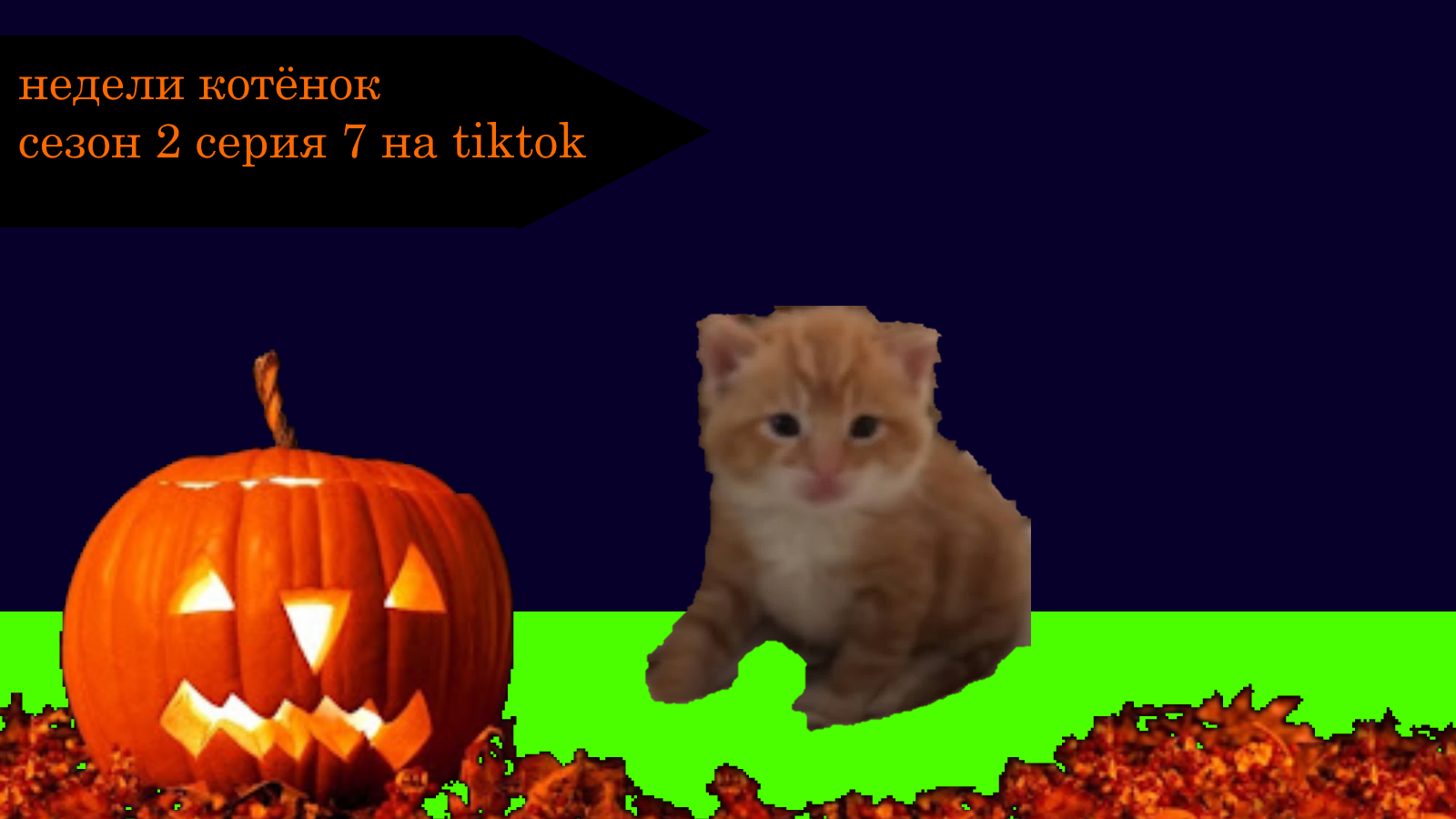 Недели котёнок сезон 2 серия 7 на tiktok смотреть онлайн