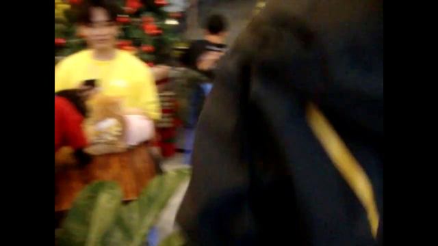 VLOG2 : ĐI OFFline Đảo Mèo Vũng Tàu (trước dịch) смотреть онлайн