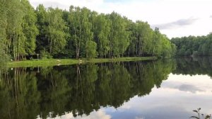 ЛОГОРИТМИКА ЖЕЛЕЗНОВОЙ*песенки для детей