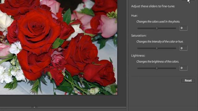 Photoshop Elements 6 Guided Editor смотреть онлайн
