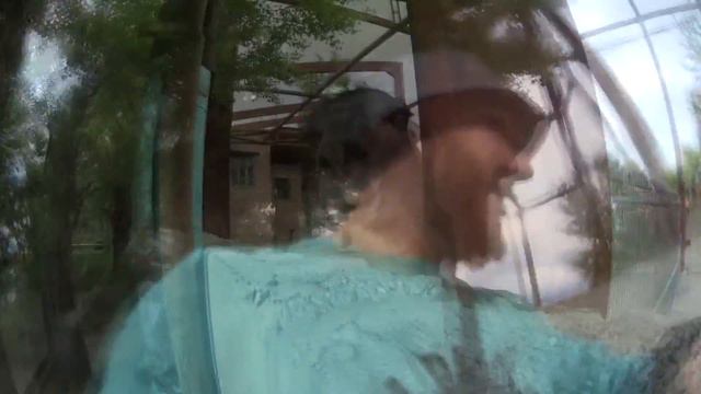 Lama spits or sneezes in the zoo (Случай в Ростовском зоопарке) смотреть онлайн