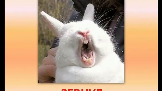 Развивающие уроки по произношению - автоматизации звука Л смотреть онлайн