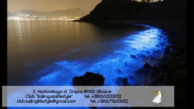 Яхтинг. Жизнь и отдых под парусами в Днепре и по всему миру! смотреть онлайн