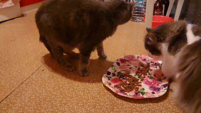 Днепр. Что у нас происходит... ⚡⚡⚡25.02.2023. смотреть онлайн