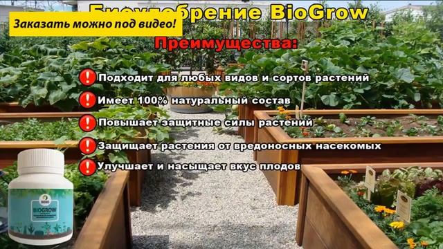Biogrow форум смотреть онлайн