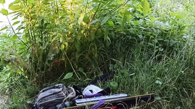 Дачный пруд СНТ Химик-5а, Воскресенский район, МО смотреть онлайн