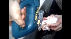 лобзиком кости