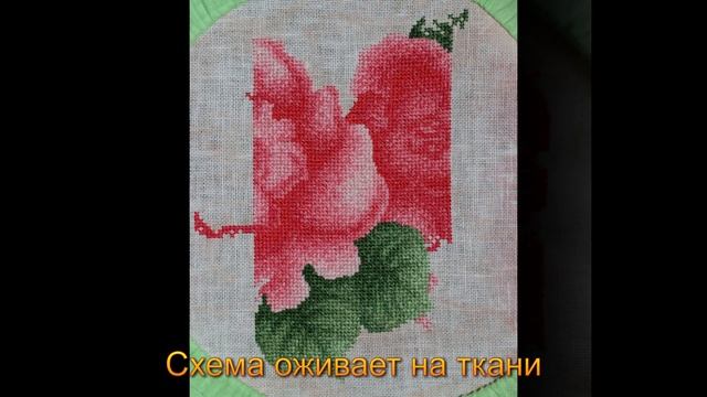 Цветы для Кристи смотреть онлайн