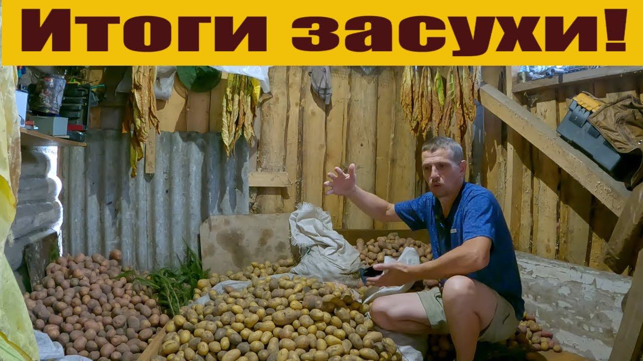 Последние деревенские новости в шортах! Чем порадовала "большая плантация"! Холод приближается! смотреть онлайн