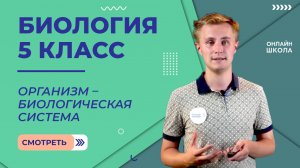 Организм – биологическая система. Видеоурок 19. Биология 5 класс