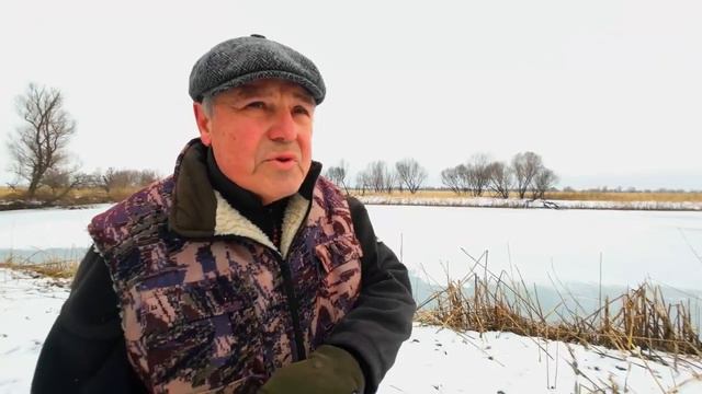 Делаю засидку на шакалов и красивых выдр смотреть онлайн