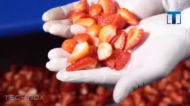 Современное Пищевое Производство. Фабрики и Станки Нового Поколения смотреть онлайн