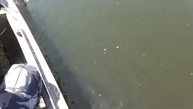 ЧИСТАЯ РЕКА Рейд 28 "По городу" смотреть онлайн