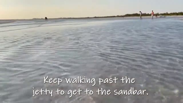 Sunset Shelling at Little Hickory Island Beach // Day Trip to Bonita Springs, Florida Vlog смотреть онлайн