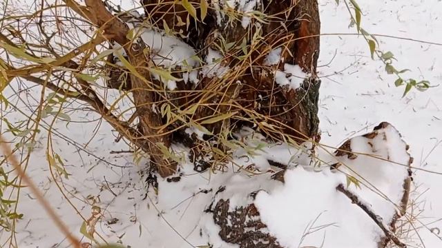 ПЕРВЫЙ СНЕГ. ГОРОД. смотреть онлайн