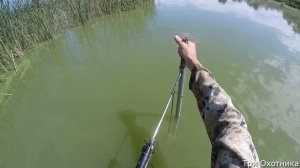 Охота с подводного ружья на сазана. Такого вы еще не видели!