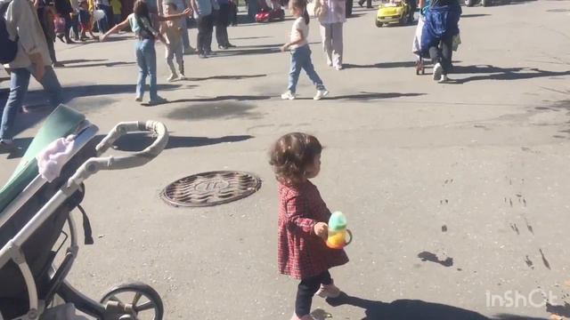 НОВОСИБИРСКИЙ ЗООПАРК / Август 2021 #зоопарк #новосибирскийзоопарк #россия #zoopark #правыйберег смотреть онлайн