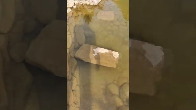 #shorts, #биофильтр, #фильтрация, #прозрачныйпруд, #сергейводоемов, #пруды, #водоем, смотреть онлайн