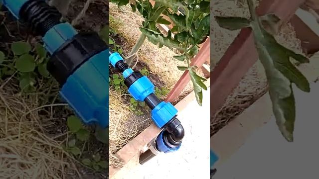 Капельный полив, серия №2 смотреть онлайн