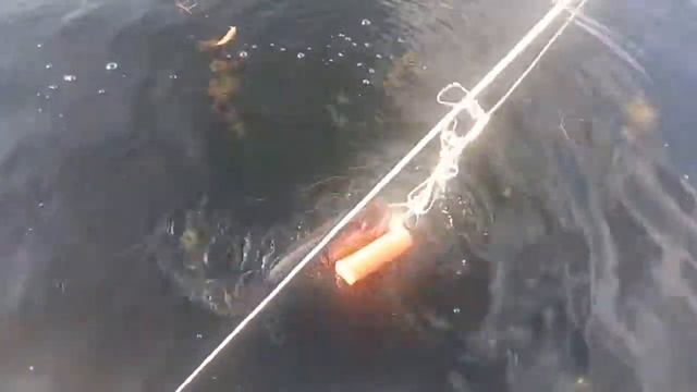 Norstream Rooky и Mottomo Saltar 60S смотреть онлайн