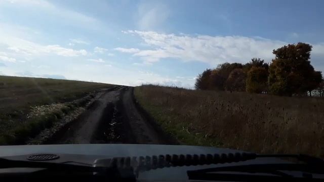 Грибы в октябре. Какие грибы растут смотреть онлайн