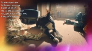 По кочкам, по кочкам, по маленьким дорожкам