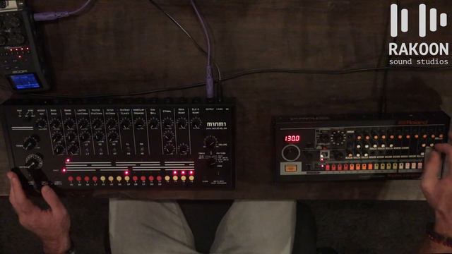 808 Day Special - Roland TR-08 vs Acidlab Miami Comparison (Rakoon Sound Studios Tips and Tricks) смотреть онлайн