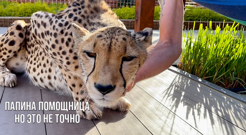 Герда всем поможет