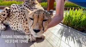 Герда всем поможет