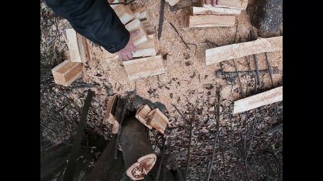 Заготовки для ложек деревянных из черёмухи. смотреть онлайн
