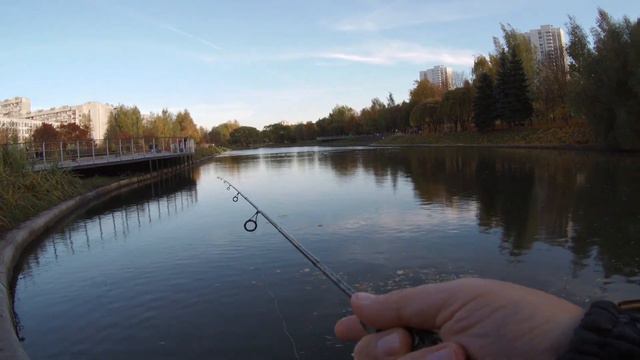 Северное Бутово  Мормышин  микродропшот, окунь маленько отзывается!