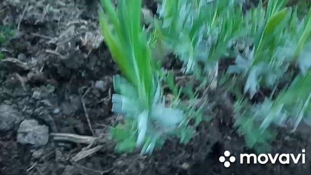 Строительные Танцы