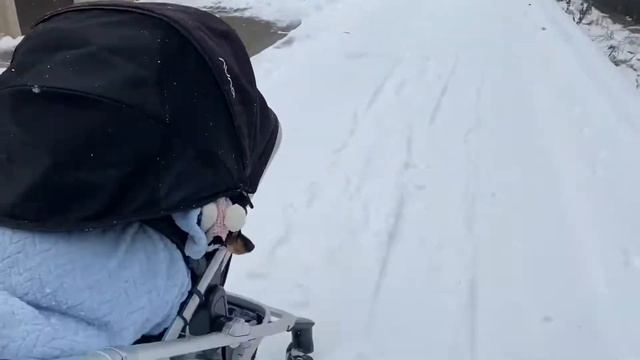 Прогулка с куклой Реборн смотреть онлайн