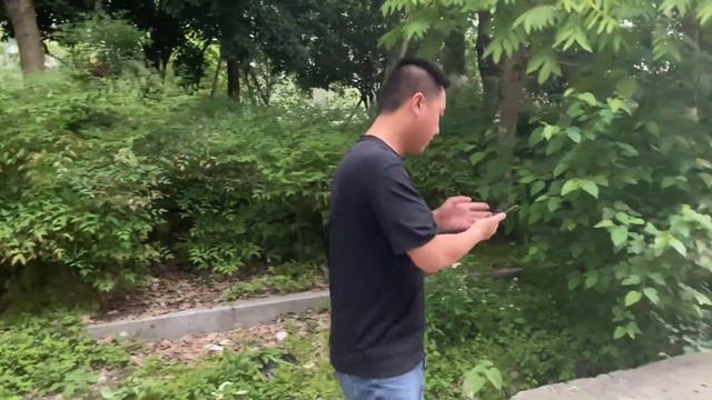 司机扣货，结局意想不到 смотреть онлайн