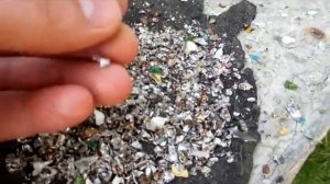 Дробление стекла, жести и пластиковых бутылок. Измельчитель отходов Glater.
