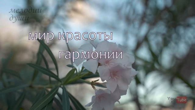 Спокойное и очень красивое видео для Души смотреть онлайн
