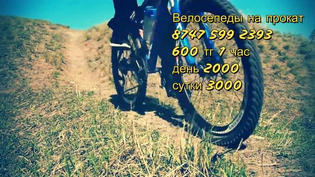 вело прокат смотреть онлайн