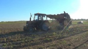 Трактор МТЗ с комбайном КПК 2-01 "Рязанец" копает картофель