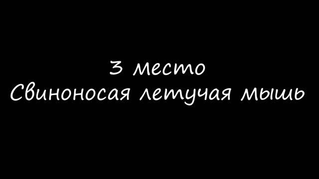 ТОП 5 НОВЫХ НЕВЕРОЯТНО МАЛЕНЬКИХ ЖИВОТНЫХ 2021 смотреть онлайн