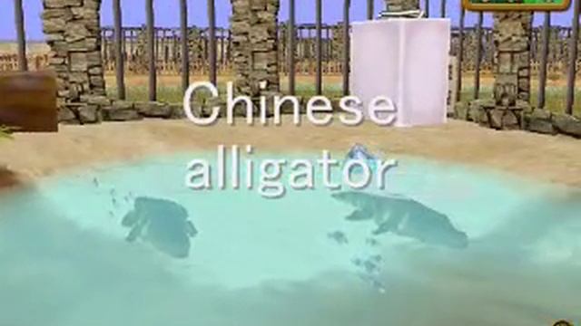 Zoo Empire secret animal смотреть онлайн