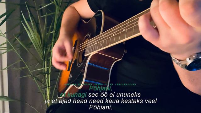 Terminaator - Põhjani (akustiline karaoke) смотреть онлайн