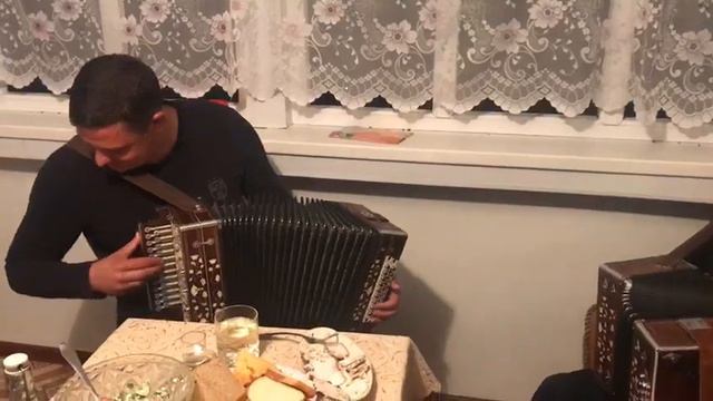 Новые гармонисты смотреть онлайн