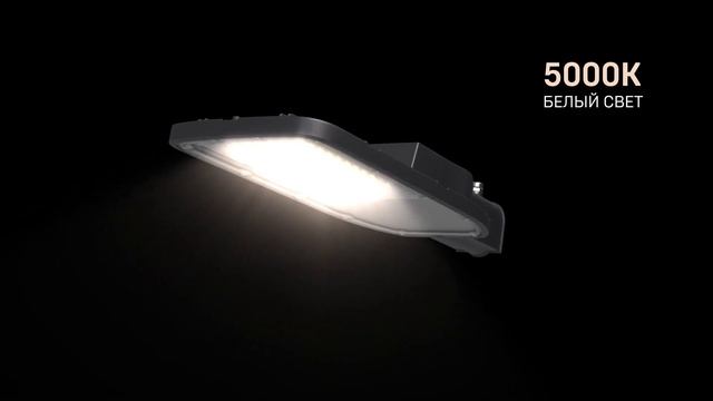 Консольные светильники ДКУ 1004Ш IEK смотреть онлайн