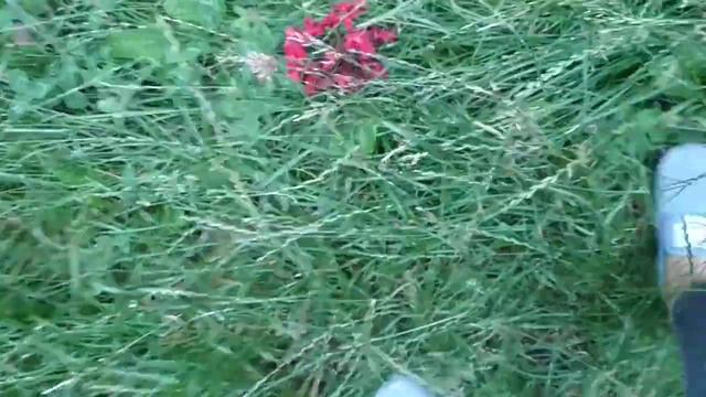 Ждите 2 часть. Крадут детей!😨 смотреть онлайн