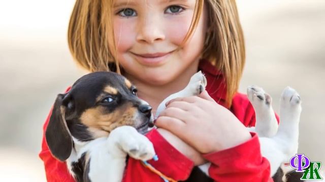 КОТЁНОК 2. «Если всех бояться, то тогда с кем играть» - подумал котёнок смотреть онлайн