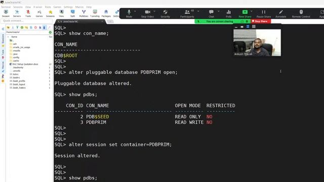 Container and Pluggable Database in Oracle смотреть онлайн