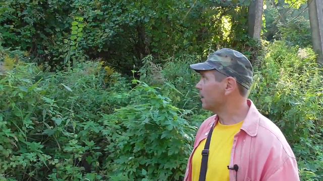 Життя після людей | Як вимирають села Чернігівщини смотреть онлайн