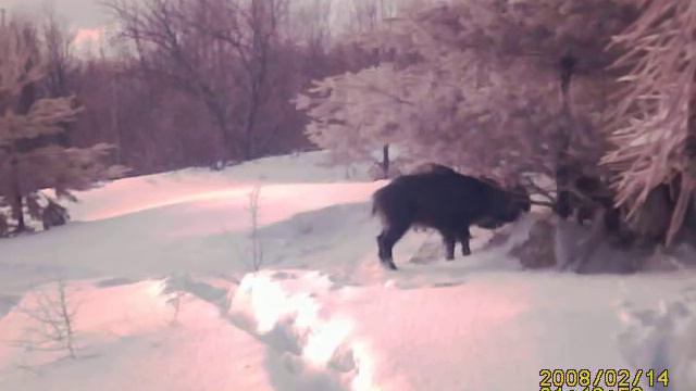 01-46-37.AVI смотреть онлайн