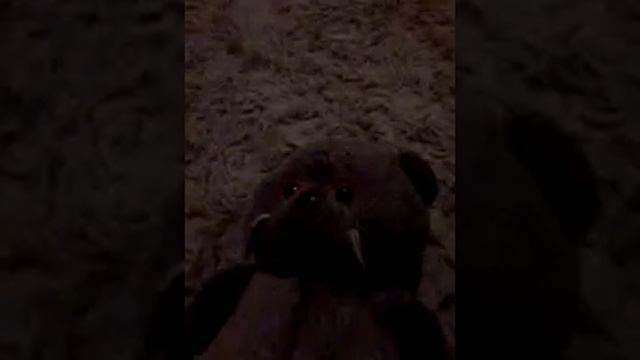 День рождения басика/дневная и ночная фурия