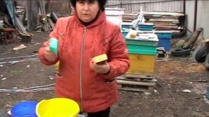 Как напоить пчёл ранней весной